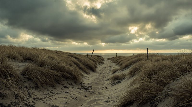 Under Sandet