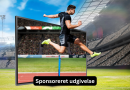 Professionel sport