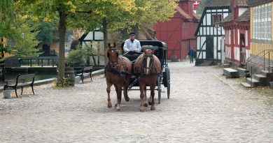Hestevogn i Den Gamle By i Århus