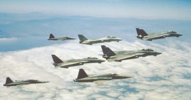 F-14A Tomcat- og F-5-jagerfly fra den amerikanske flåde i formation. Enhederne leverede luftkampscenerne til filmen Top Gun fra 1986
